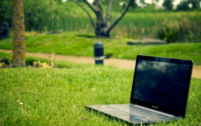 When to use “Left Program Date” field