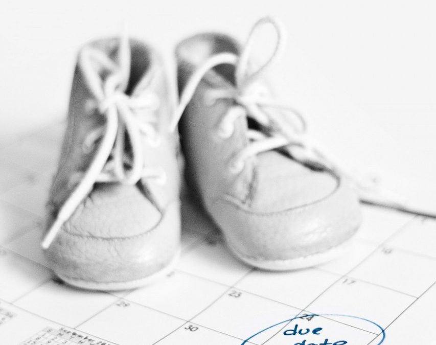 Due Date this Friday, January 25, 2019